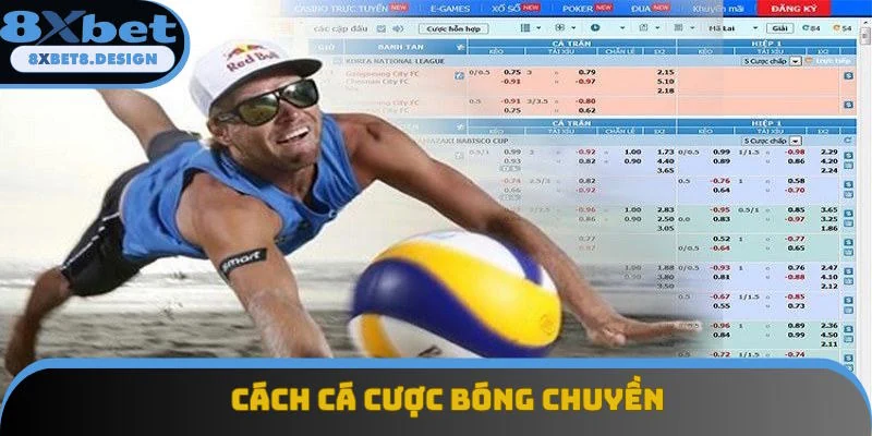 Cách Cá Cược Bóng Chuyền Phù Hợp Với Khách Hàng 8XBET